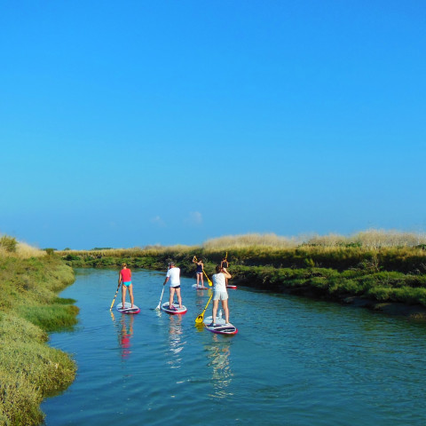 Paddelwanderung in den Salzwiesen mit Sup Evasion auf der Ile de Ré