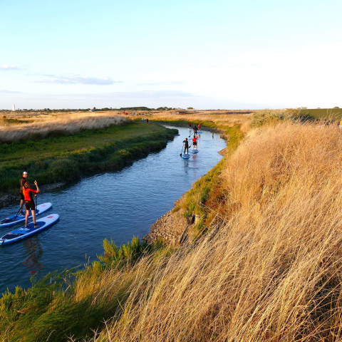 rando-stand-up-paddle-marais-salants-ile-de-ré.jpg