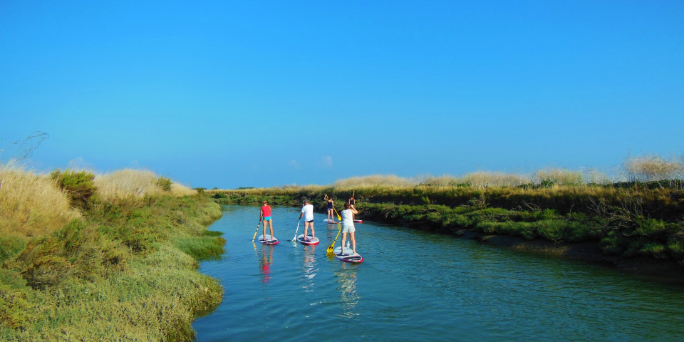 Randonnée en paddle dans les marais salants avec Sup Evasion sur l'île de Ré