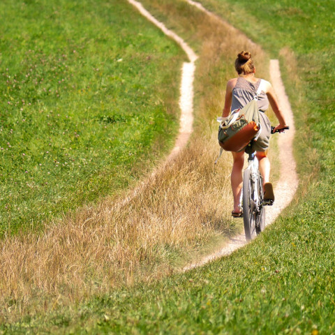 cyclist-2915140_1280.jpg